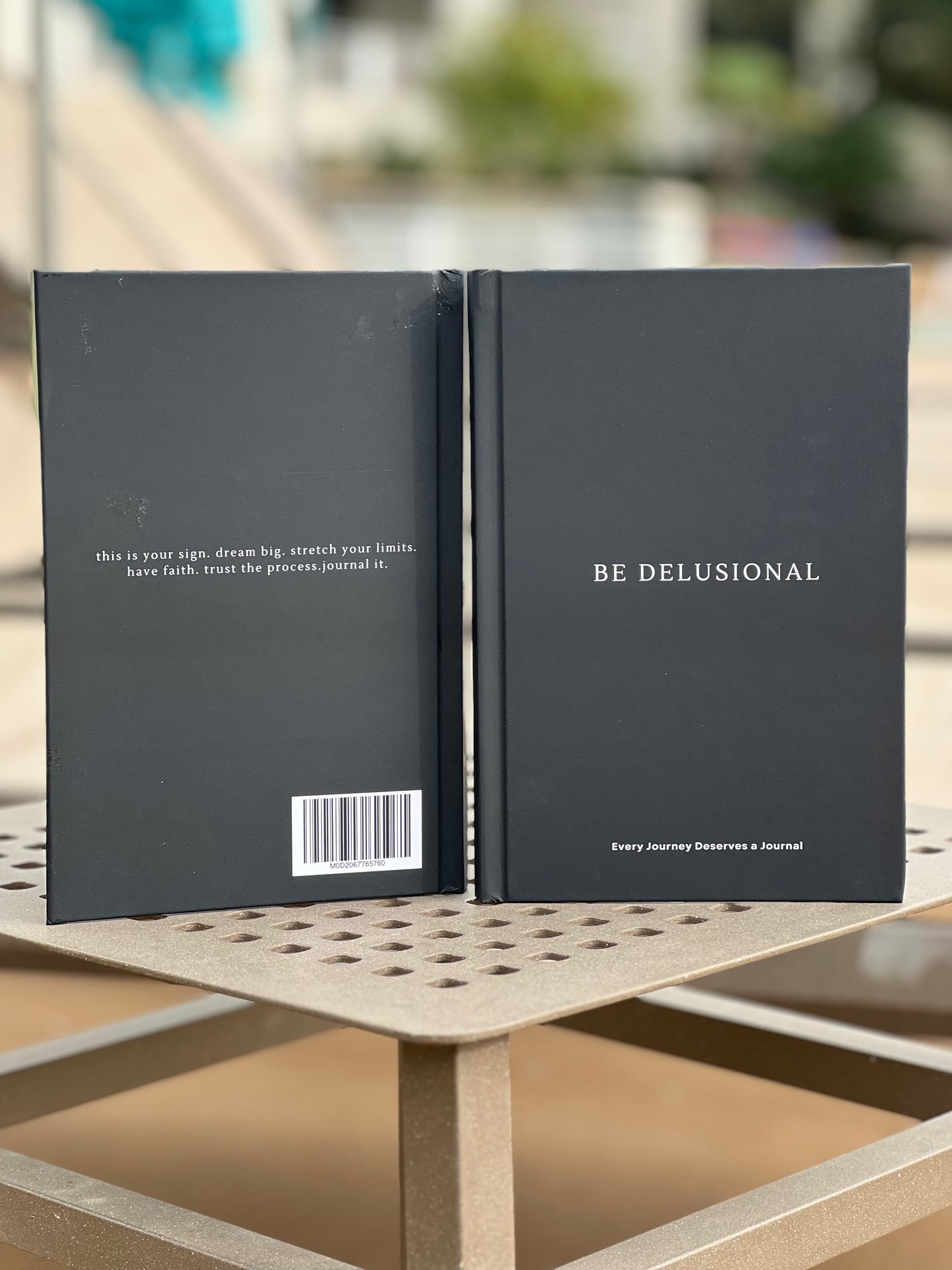 Be Delusional Journal