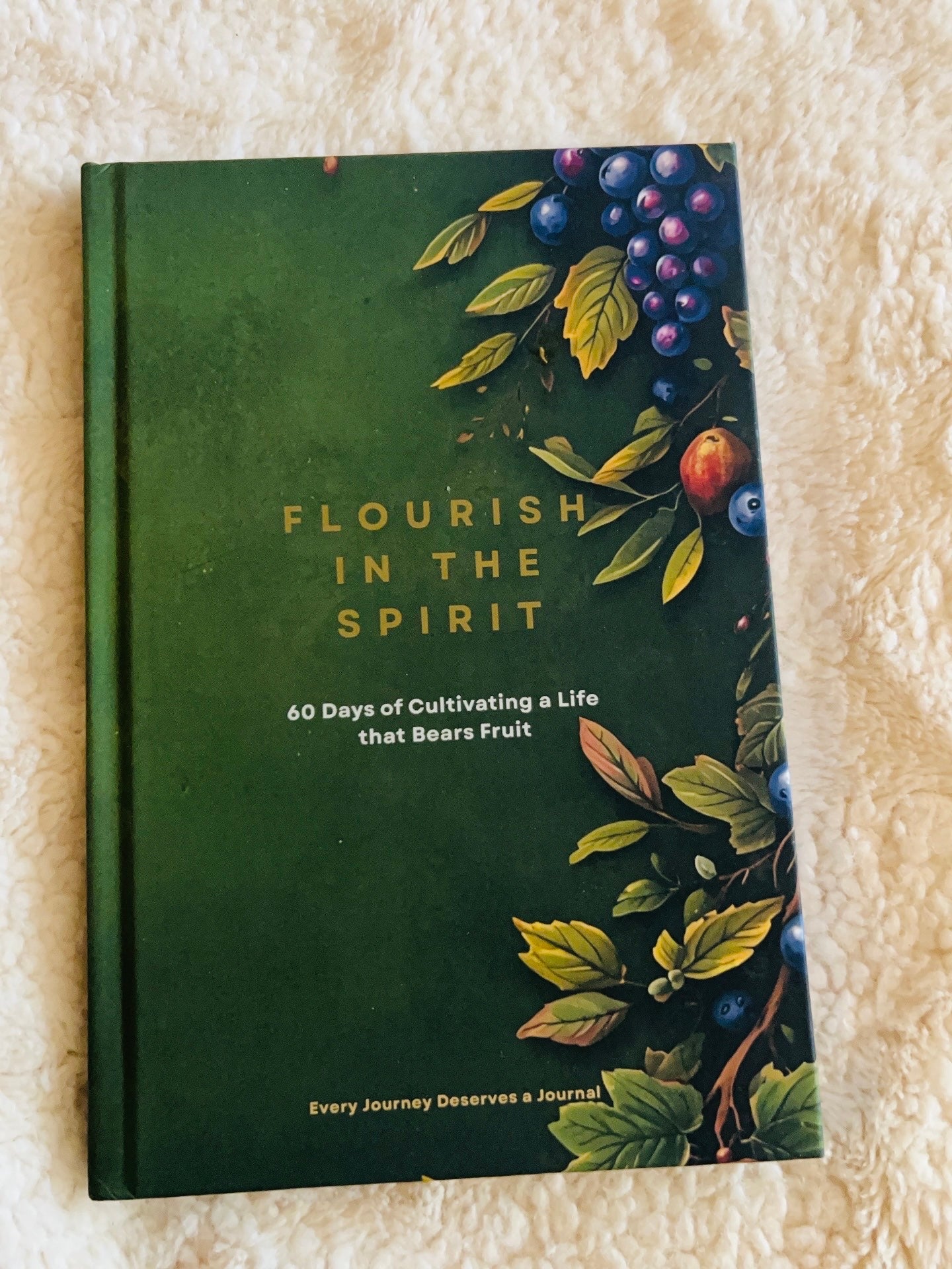 Flourish in the Spirit - 60 Days of Cultivating a Life that Bears Fruit