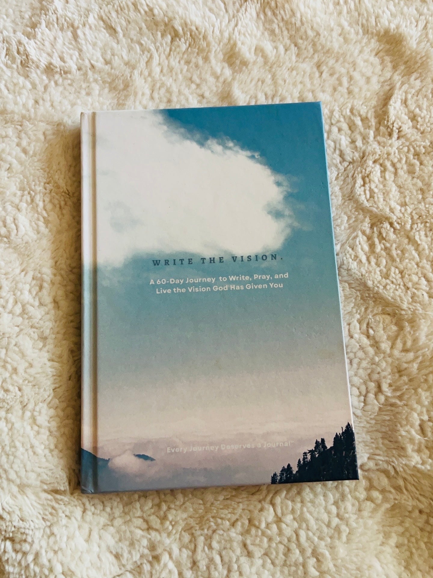 Write the Vision - 60 Days Journey to Write, Pray, and Live the Vision God Has Given You